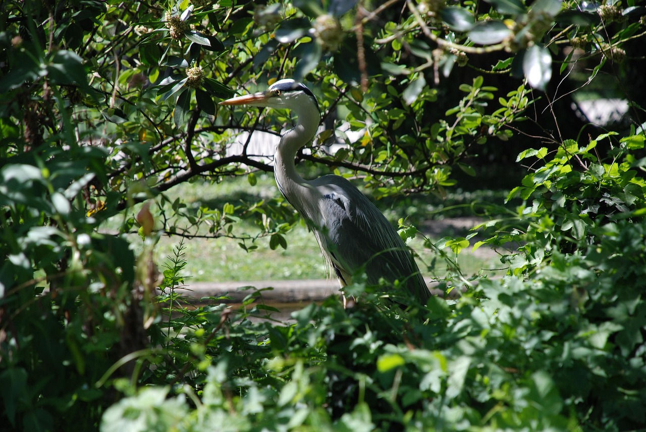 recrutement spécialisé en ventes dans le secteur biotechnologique à grenoble. trouvez les meilleurs talents pour booster votre équipe commerciale biotech.