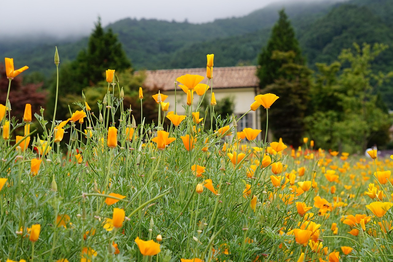 découvrez notre digital hub, un espace innovant dédié à la transformation numérique, regroupant experts, ressources et solutions pour stimuler votre croissance digitale.