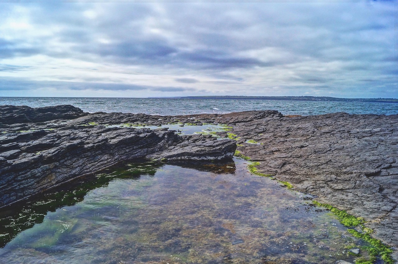 trouvez un stage commercial à grenoble pour bts : développez vos compétences en vente et marketing au cœur d'une ville dynamique.