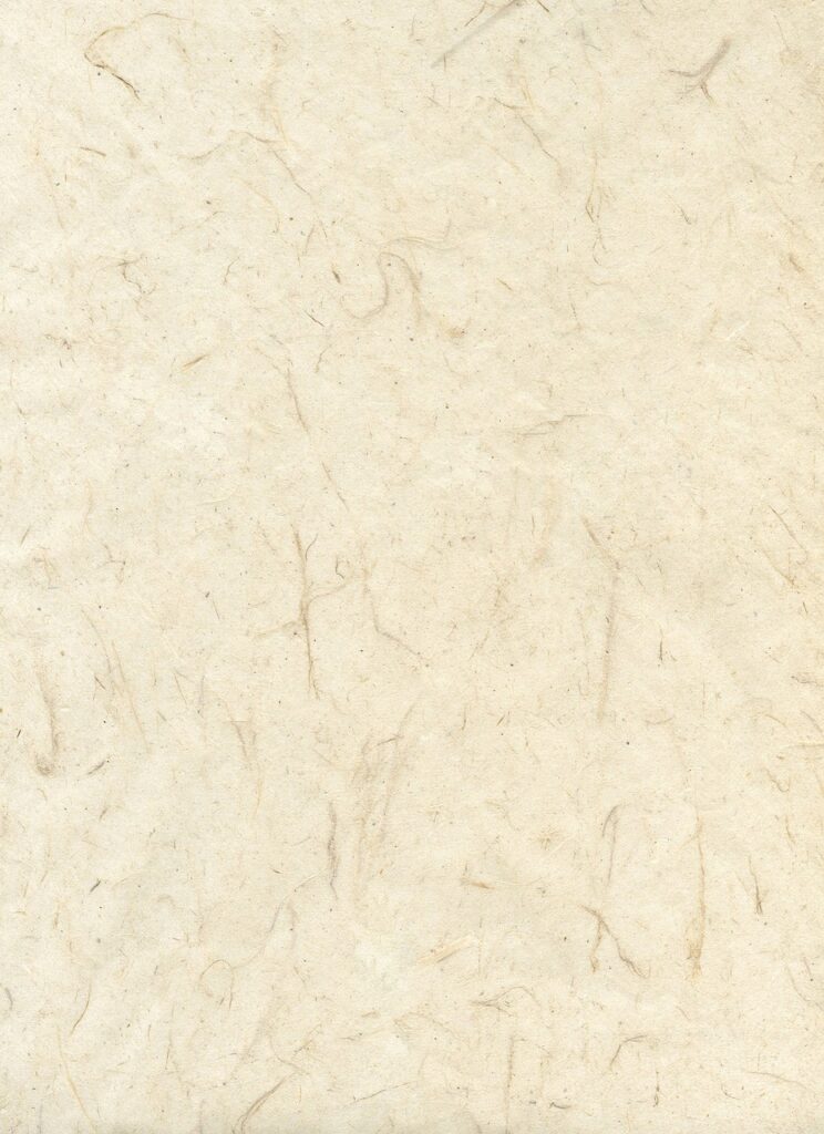 découvrez nos spécialités business pour optimiser la croissance et la performance de votre entreprise grâce à des stratégies adaptées et innovantes.