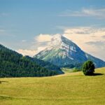 Combien gagne un commercial débutant à Grenoble ?
