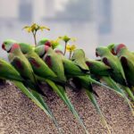 Quand recruter un commercial à Grenoble : timing optimal ?