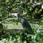 Formation commercial Grenoble : catalogue 2025